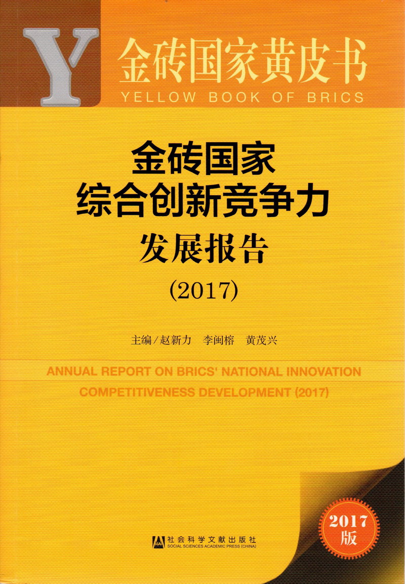 动漫黑丝渔网美女被大鸡吧操逼视频免费观看金砖国家综合创新竞争力发展报告（2017）